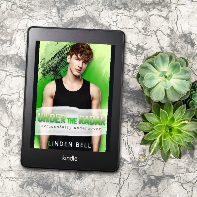 Under the Radar by Linden&nbsp;Bell