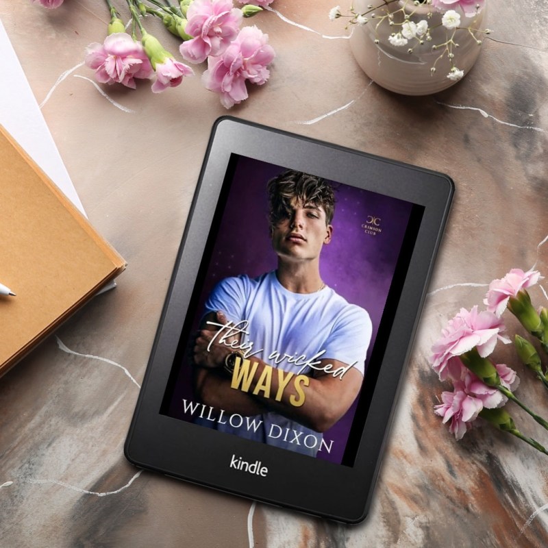 Their Wicked Ways by Willow&nbsp;Dixon
